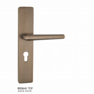 BR38-61 TCF Separate Hardware Door Locks
