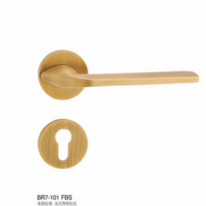 BR7-101 FBS Separate Hardware Door Locks