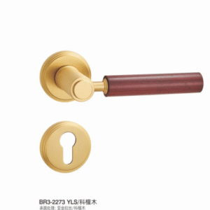 BR32273 YLS Separate Hardware Door Locks