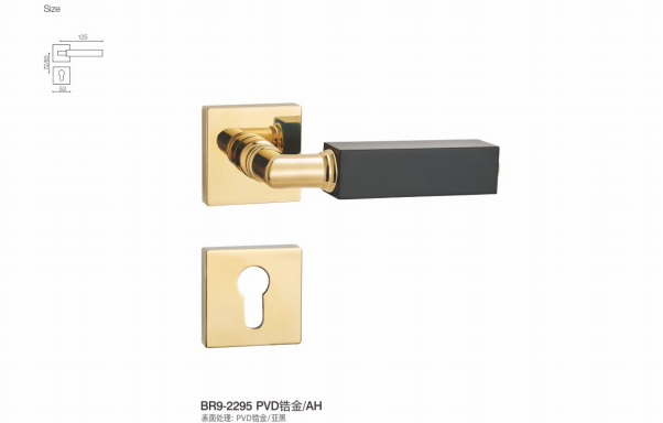 BR9-2295 PVD Separate Hardware Door Locks