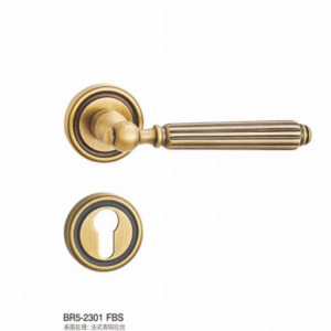 BR5-2301 FBS Separate Hardware Door Locks