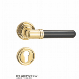 BR5-2288 PVD Separate Hardware Door Locks