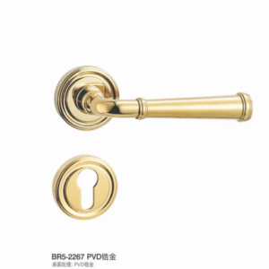 BR5-2267 PVD  Separate Hardware Door Locks