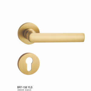 BR7 158 VLS  Separate Hardware Door Locks