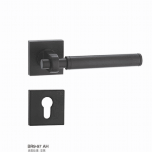 BR9-97 AH Separate Hardware Door Locks