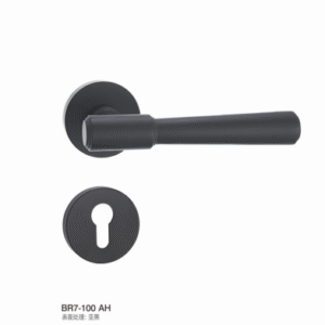 BR7-100 AH Separate Hardware Door Locks