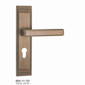 BR51-71 TCF Separate Hardware Door Locks