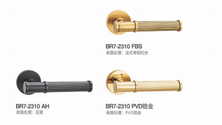 BR7-2310 TCF Separate Hardware Door Locks - Image 2