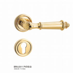 BR5-2311 PVD Separate Hardware Door Locks