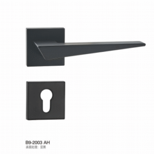 B9-2003 AH Separate Hardware Door Locks
