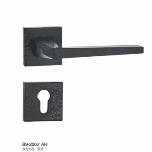 B9-2007 AH Separate Hardware Door Locks
